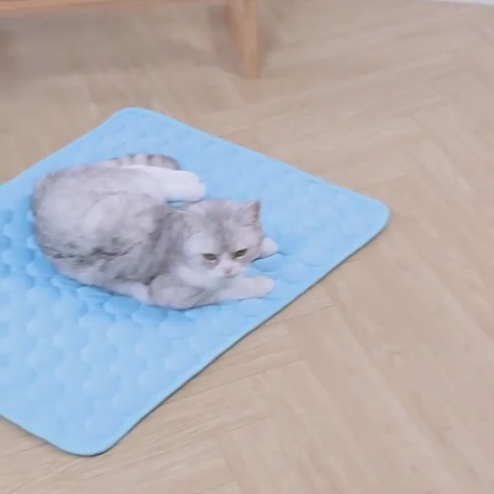 Gatos y un corgi tumbados sobre la alfombrilla refrescante Petnuby