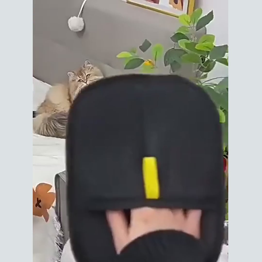 El guante quitapelos Petnuby recogiendo pelo de un pantalon, un sofa y una cama